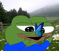 pepe butterfly on nose 