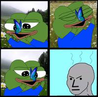 pepe catching butterflys angers wojak npc 