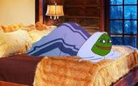 pepe comfy cocoon bed 