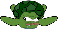 pepe confused turtle 