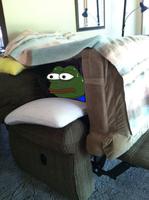 pepe couch fort 