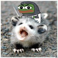 pepe crusader riding possum 