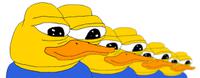 pepe ducks in row 