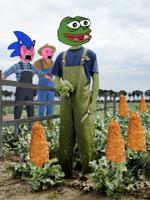 pepe farmer antagonizes pink wojaks 