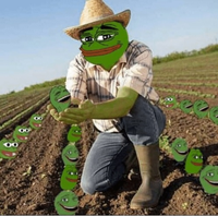 pepe farmer farming pepes 