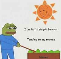 pepe farming memes wojak sun 