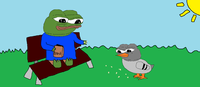 pepe feed pepe bird food 