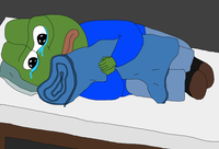 pepe fetal hugging blanket 