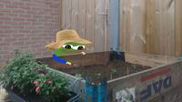 pepe gardening wearing hat 