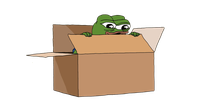 pepe happy in cardboard box 