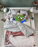 pepe happy in real life bed 