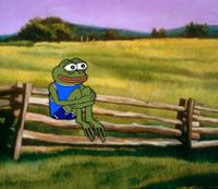 pepe happy sitting on fence 