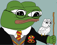 pepe harry potter hegwig 