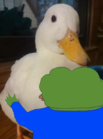 pepe hugging real duck 