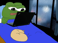 pepe in bed laptop cat 