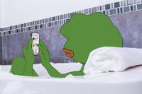 pepe in tub on smartphone 