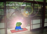 pepe meditates 