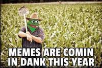 pepe meme farmer dank 