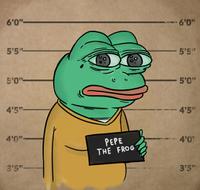 pepe mug shot 