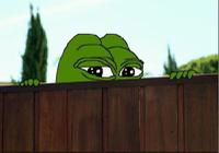 pepe peeking up behind fence 