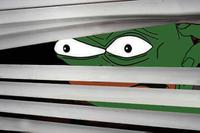 pepe peeks blinds 