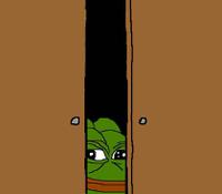 pepe peeks closet 