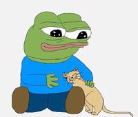 pepe pets cat 