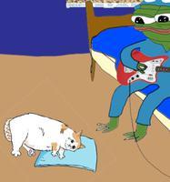 pepe playing guitar for sad cat 