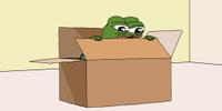 pepe playing in box 