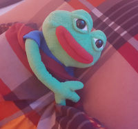 pepe plush comfy bed 