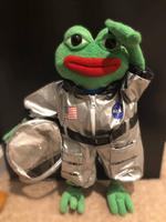 pepe plush space suit 