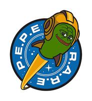 pepe rare rocket patch 