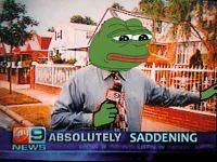 pepe reports news 