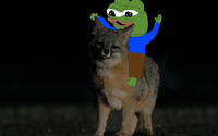 pepe riding coyote 