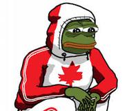 pepe sad canadian wearing hoodie 