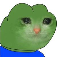 pepe sad cat face 