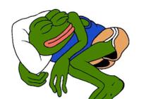 pepe sleeping on pillow 