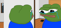 pepe stares at himself mirror crying 