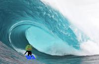 pepe surfing big wave on blue carpet 