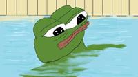 pepe swimming pool 