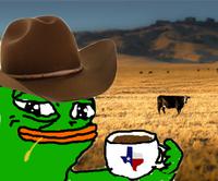 pepe texas coffee mug 