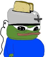 pepe toaster on head 