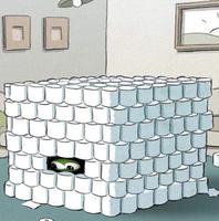 pepe toilet paper fort 