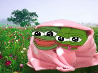 pepe under blanket in field 