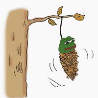 pepe wasp cocoon 