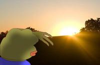 pepe watches sunset 