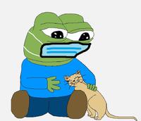 pepe wearing mask petting cat 