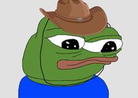 pepe wearing small cowboy hat 