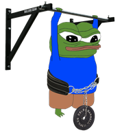 pepe weighted pullups 