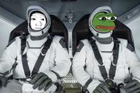 pepe wojak space x capsule 